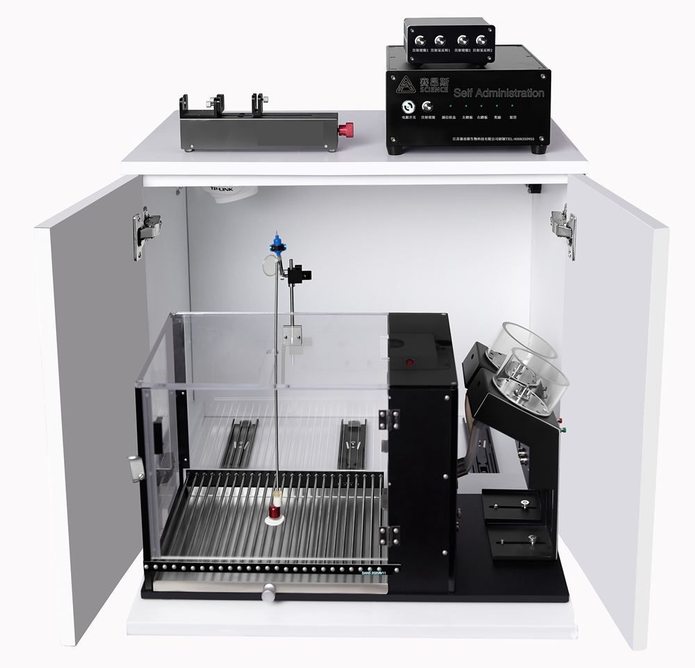 3eb69ee2-4e45-4f0a-ad25-ceab2177cd3d