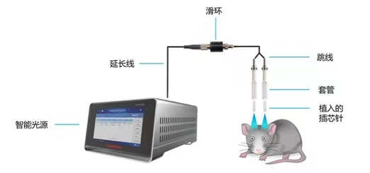 有线智能光遗传系统-单光源 