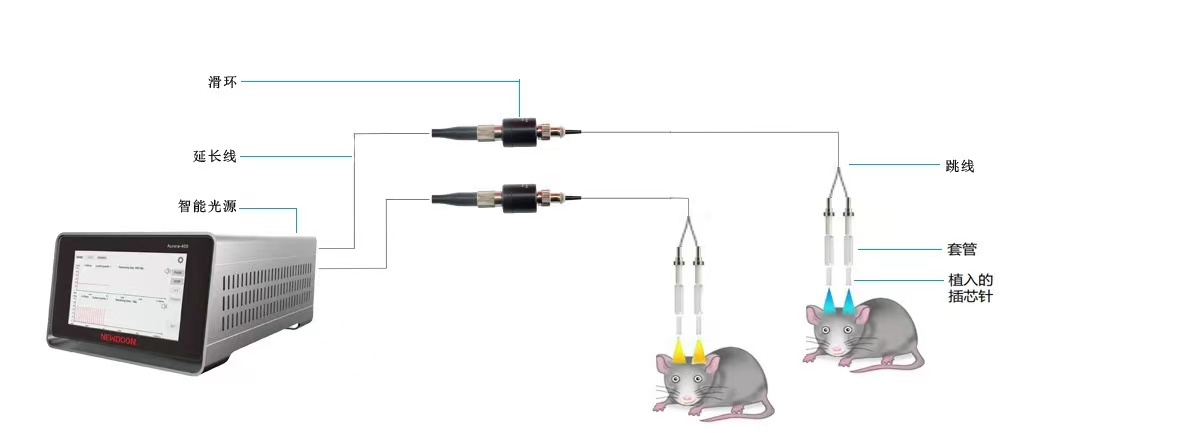有线智能光遗传系统-双光源