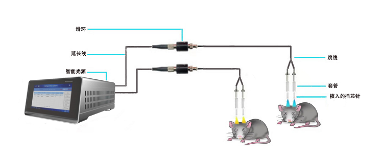 有线智能光遗传系统-双光源